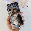 Cute Flower Cat Painted Case For Realme 10 / Realme 10 Pro / Realme 10 Pro+ Soft Silicone TPU Cover For Realme10 4G 10Pro Plus