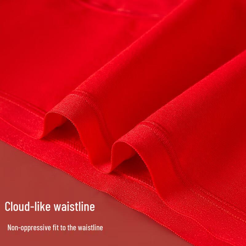 Audiffren Women's 100% Pure Cotton Antibacterial Briefs