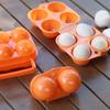 2/4/6 Grid Egg Case Plastic Container Storage Box Refrigerator Outdoor Traveling Hiking Camping Carrier Picnic Eggs Case