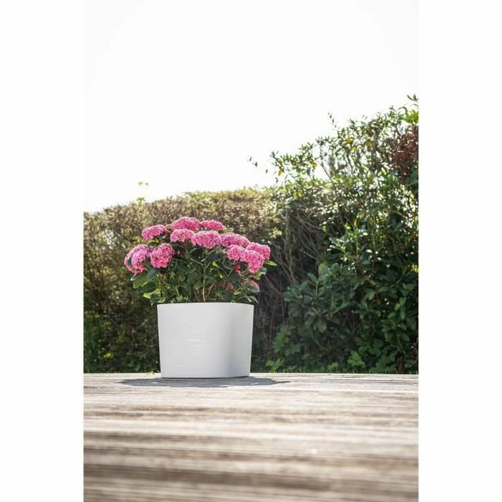 Self-watering Flowerpot Garden ID White 20 X 20 Cm