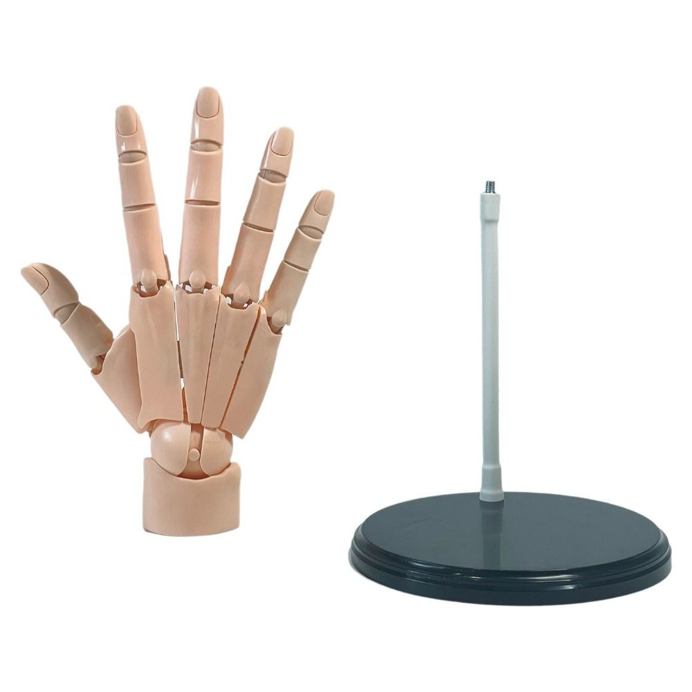 Left/Right Anatomically Accurate Jointed Hand for Art Drawing Reference