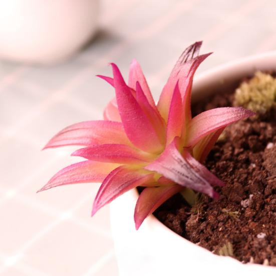 Mini Künstliche Sukkulenten Realistische Fake Kleine Kakteen Pflanzen Bunte Kunststoffe Beflockte Topflose Pflanzen für Garten Blumentopf Küche Heimdeko