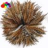Whole 900PCS Fade Rooster Feathers Dyeing 5-6" Hackle 12-15 Cm Strung DIY Chicken Plume Jewelry Costume Hat Party Mask