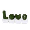 3D Printed Cactus Green Plant Ornament - Creative Home Decoration Craft