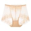 Women's Plus Size Lace Seamless High-Waist Briefs - Breathable & Comfortable