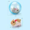 Transparent Pet Rolling Ball Built-in Animal Plastic Material Pet Exercise Active Ball Design Self-Rotating