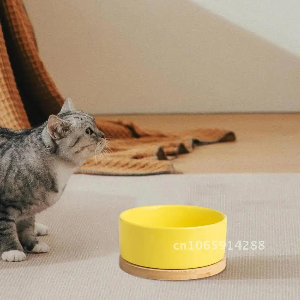 350ml Pet Control Water Feeder,Thermal Cat Water Electric Wood Bowl,With Bowl,With Thermostatic Base,Heating Ceramic Heated