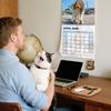 2026 Katzenkalender Lustiger Katzenliebhaber Wandkalender 12 Monatsplaner mit Katzenthema Kühlschrank Schreibtisch Hängekalender Katzen-Meme Weihnachtsgeschenk