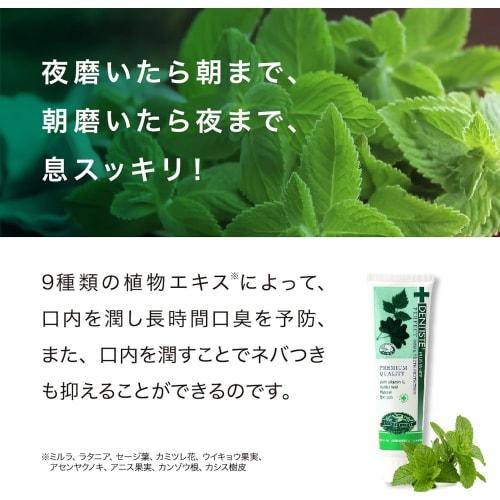 [.co.jp Exclusive] DENTISTE Tube Type 100g x 3-Pack with Original Message Card