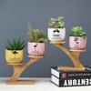 Gardening Cute Cartoon Succulent Flower Pot Simple Creative Personality Nordic Balcony Desktop Plant Flower Ware