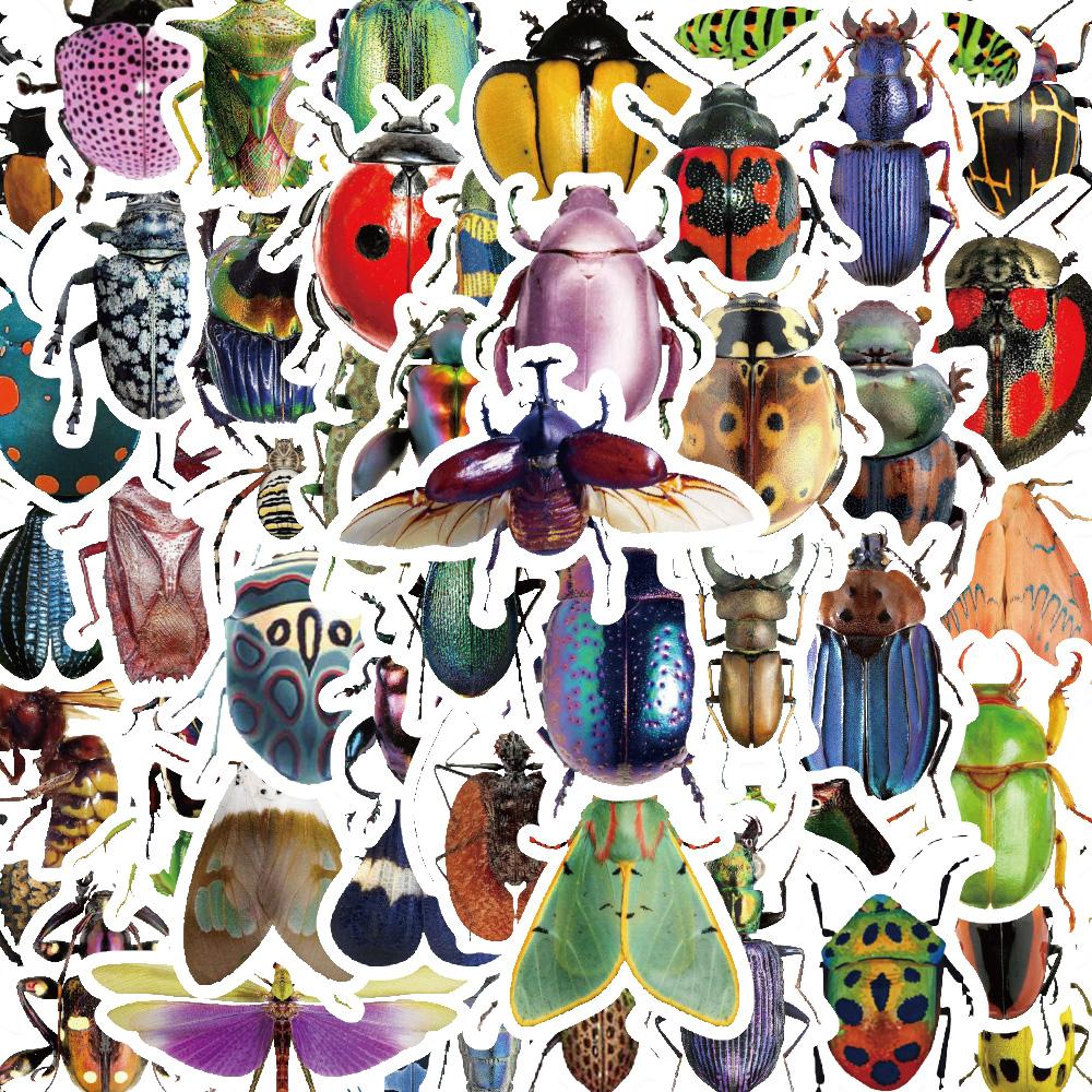 50 PZ Adesivi di Vari Insetti e Coleotteri Carini Adesivi Didattici per Insetti Adesivi da Collezione per Amanti degli Insetti