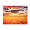 Ropical Beach Backdrop Banner,Wall Decor for Summer Parties,Events,Photo Shoot Backdrop,Beach Theme Decor,Weddings