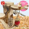 VICHE CATT Hamster Toy, Chew Toy, Natural Wood, for Degus and Guinea Pigs, Toy, Plaything, Stress Relief (Type C)