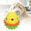 Cães – Brinquedos para cães