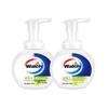 Walch Foaming Antibacterial Hand Soap - Lime Scent (2 X 300ml)