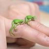 Exquisite Green Enamel Frog Open Ring For Women Cute Animal Lovely Party Adjustable Finger Jewelry Men Accessories Gifts N856