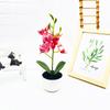 Simulated Phalaenopsis Potted Artificial Artificial Flower For Indoor Outdoor Decoration And Photography Use