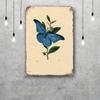 butterfly Decor Vintage Metal Signs Tin Signs Captain Poster Decor for Bar Pub Club Man Cave Wall Decoration
