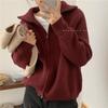 Cardigan Maglioni Casual a Maglia Donna Autunno Inverno Vintage Zip-up Monocolore Larghi Manica Lunga Top Maglieria Chic Kpop