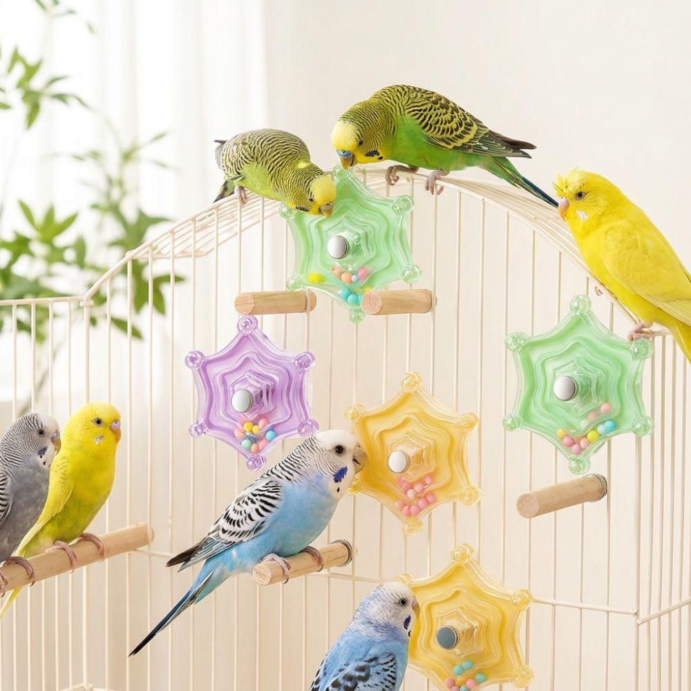 Bite Resistant Birdcage Chewing Puzzle Toy Colorful Beads Interactive Spinning Wheel Bird Play