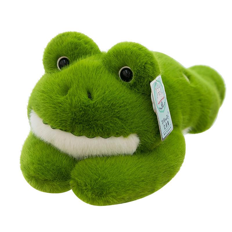 Frog West Turtle Highland White Terrier Plush Toy Stuffed Animal Doll Gift Kids