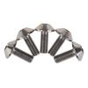 Ruifu Titanium Alloy Hex Hole M6x12 15 20mm Bicycle Motorcycle Wheel License Plate Mounting Bolts Set of 5 (Titanium, M6x15mm)