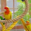 Bite Resistant Parrot Bird Toy Rope Hanging Parrot Standing Perch  Training