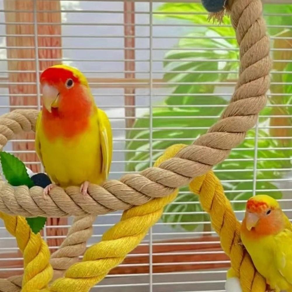 Bite Resistant Parrot Bird Toy Rope Hanging Parrot Standing Perch  Training