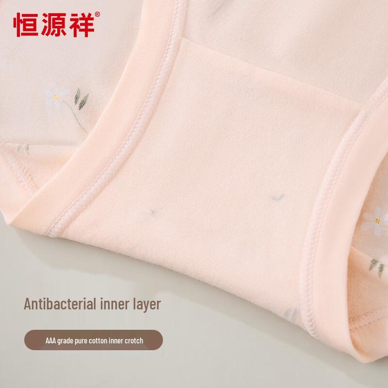 Hengyuanxiang Women's Plus Size High-Waist Pure Cotton Antibacterial Underwear (4-Pack)