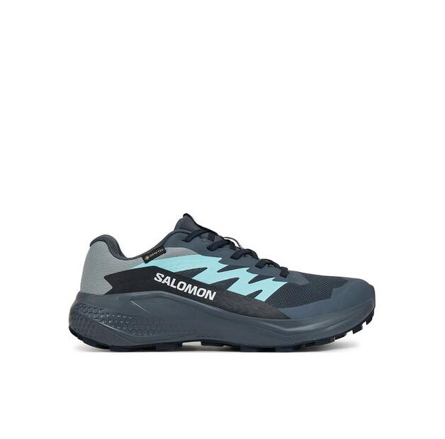 

Беговые кроссовки Salomon Alphaglide Gore-Tex EU 38