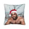 Decorative Pillow Cover Funny Barry Wood Meme Christmas  Accessories Car  Pillow Case Cover Zippered Multiple Sizes