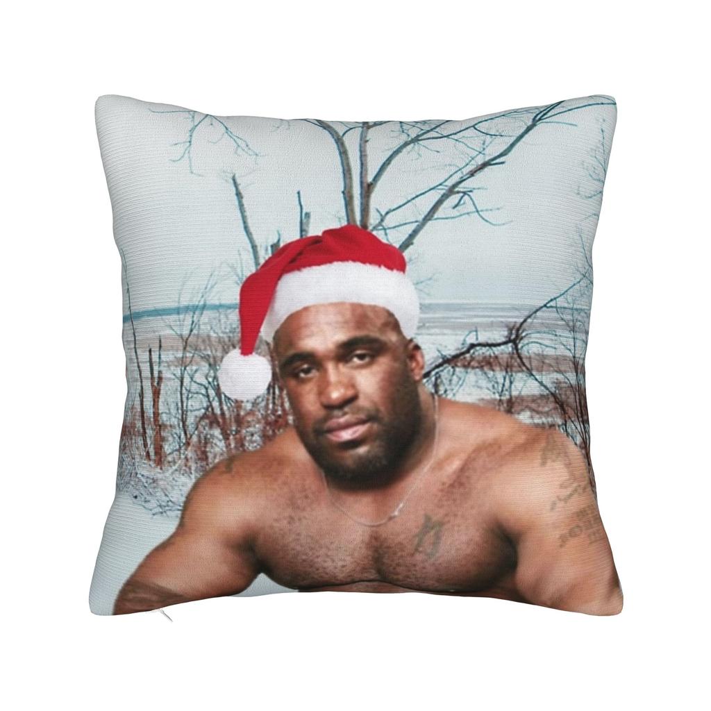 Decorative Pillow Cover Funny Barry Wood Meme Christmas Accessories Car Pillow Case Cover Zippered Multiple Sizes