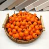 48Pcs Tiny Artificial Pumpkins Realistic Simulated Pumpkins Fall Decorations For Thanksgiving Party Table Centerpieces