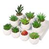 Office Potted Plant Fake Succulent Ceramic Pot Mini Pink Succulent Diamond Cup Potted Plant Second Hair Anti-Drop Potted Plant