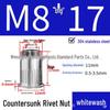 304 Stainless Steel Knurled and Ribbed Countersunk Rivet Nut