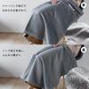 Bloom Lap Blanket Avenir 98 x 70cm Made in Japan Cotton Washable Reversible Sheepskin Lap Blanket Imabari-made Approx. 100% (Brown)