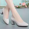 Work Shoes Versatile Medium Heel Single Shoes Women's 2025 Spring New Leather Shoes Pointed Thick Heel Versatile Shallow Mouth Women's Shoes
