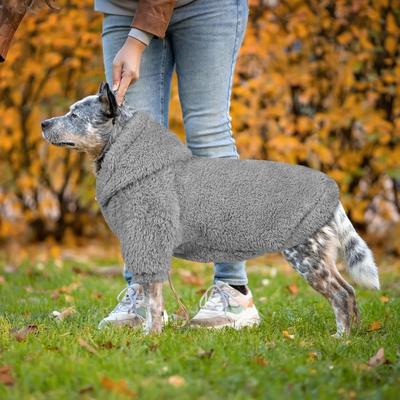 Kleding en schoenen – Honden truien