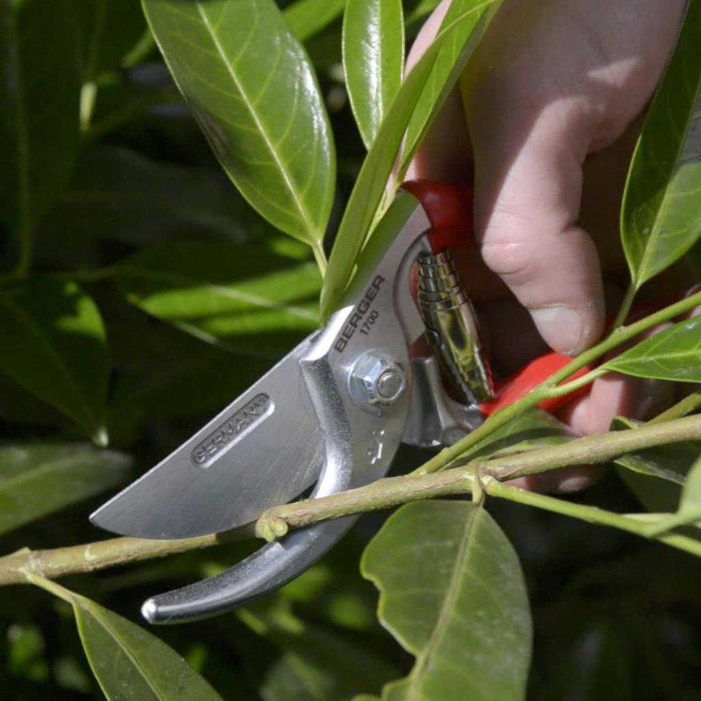 BERGER Pruning Shears 210mm Blade Cm Powerful 2cm Branch (Germany) Cutting!