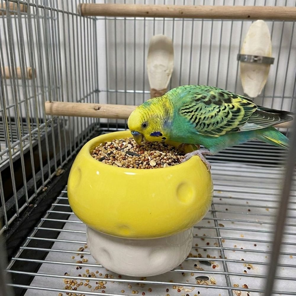 Ceramic Parrot Food Bowl Large Capacity Feeding Station Bird Water Bowl  Balcony Use