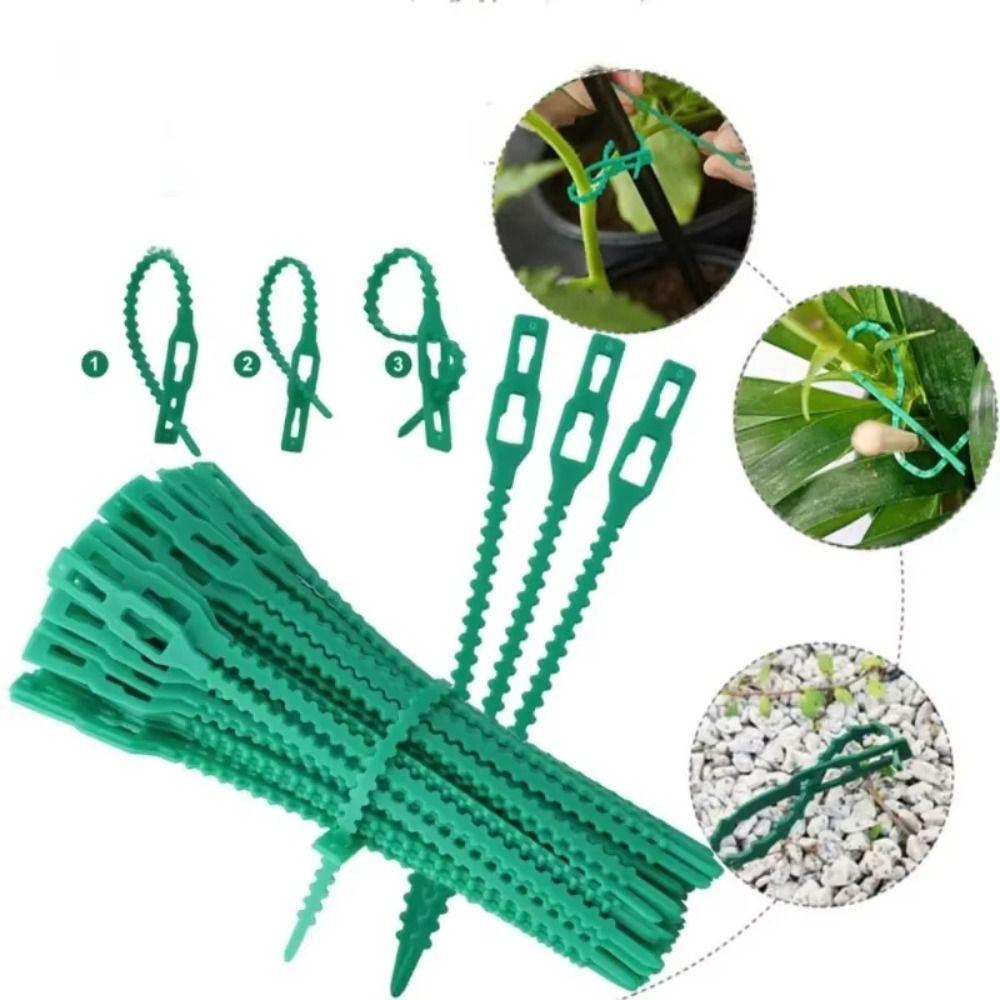 Flexible Plant Cable Ties Plastic Plant Support Clips Reusable Garden Ties  Outdoor Scenarios