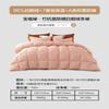 Mercury Home Textiles Bao Fu Lu 95% Goose Down Winter Comforter