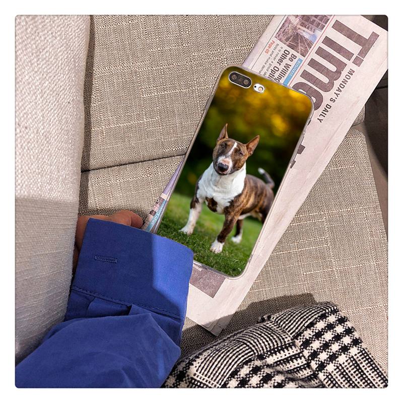 Bullterrier Bull Terrier Dog Phone Case For iPhone 13 X XS MAX 6 6s 7 7plus 8 8Plus 5 5S Se 2020 XR 12 11 Pro Max Fundas Capa