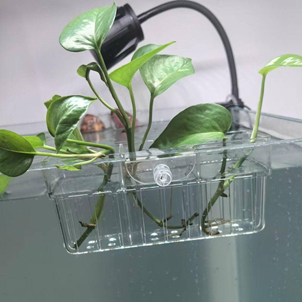 Transparent Hydroponic Planting Cup Fish Tank Plant Cup  for Fish Tank Landscape Decoration