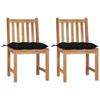 VidaXL Set of 2 Garden Chairs with Cushions, Patio Seats, Dining Chairs, Outdoor Patio Furniture, 3062938