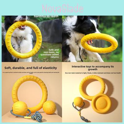 Pet Infinity Eva Bounce Toss Toy For Active Dogs And Puppies