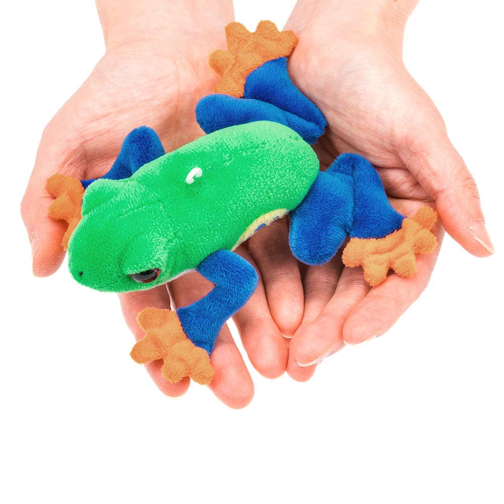 COLORATA Plush Mascot Red-Eyed Tree Frog (Realistic Amphibianwith Chain) Cute Frog Keychain Doll Gift (Twice Tested) Christmas Present