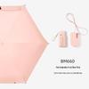 Accesorii – Umbrele
