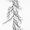 6.2ft Artificial Tree Branch Twig Garland Hanging Decor for Holiday Wall Door Fireplace Indoor Decoration Black