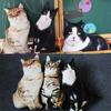 Simulation 3D Cat Cosplay Pillow Cushion Attractive Cute Pattern Bendable